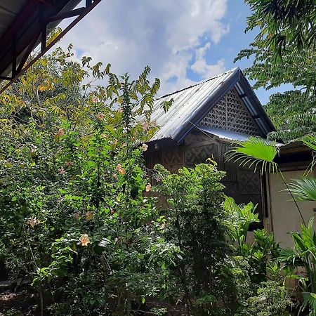 Alimpay Foresters Apartment Panglao City Exterior foto