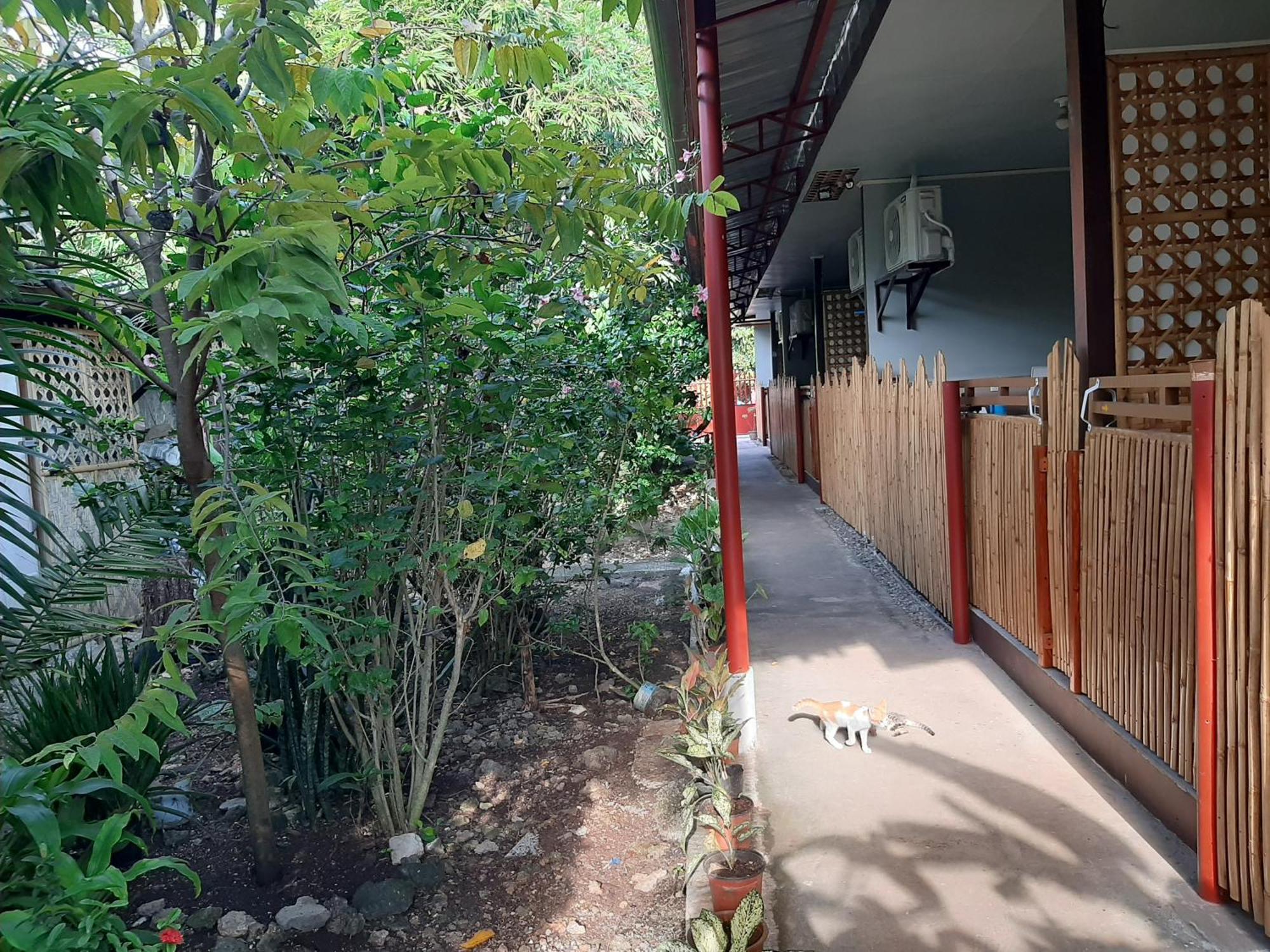 Alimpay Foresters Apartment Panglao City Exterior foto